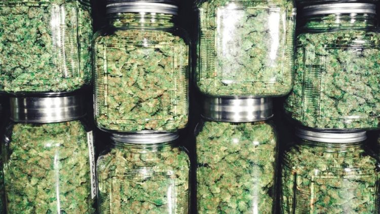 Does Hexo Corp (TSX:HEXO) Still Have 300% Upside This Year? – The Motley Fool Canada